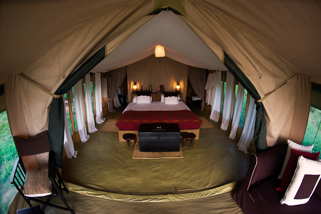 Guest Tent - Interior