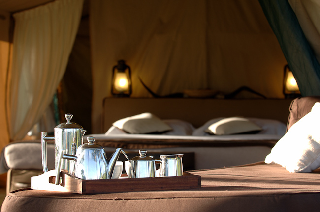 Guest Tent - Morning Coffee