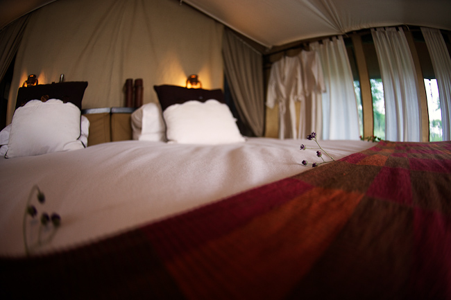 Guest Tent - Bed Detail