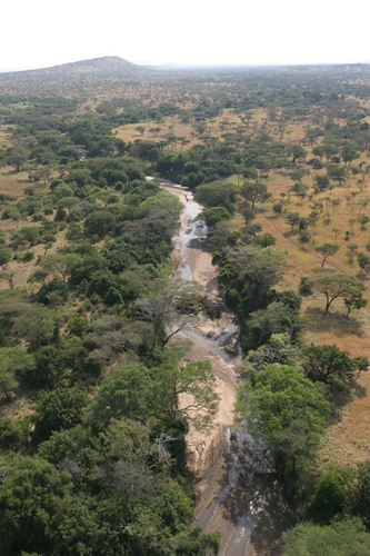 Aerial view of Grumeti River