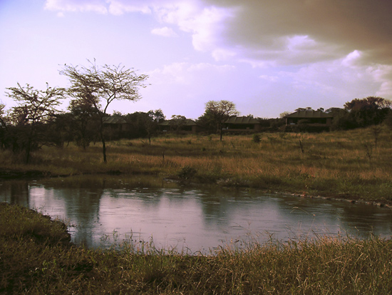 View from the water hole