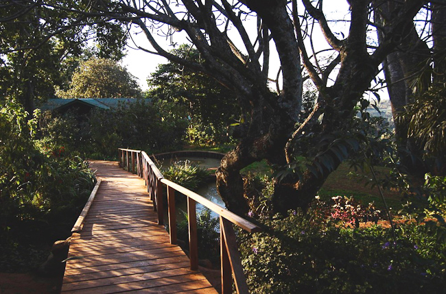 Pathway through the gardens