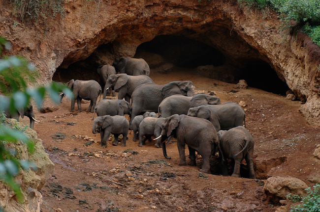 Elephant caves