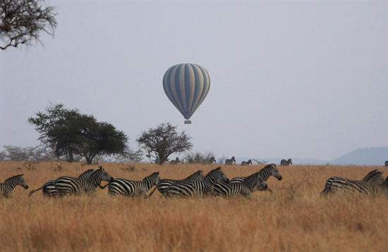 Balloon Ride over the Serengeti