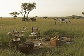 Bush break - Horseback Safari