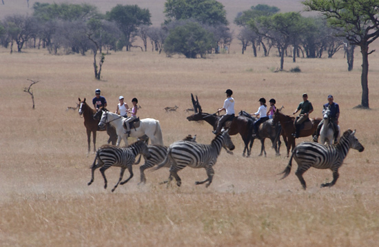 Horseback Safari