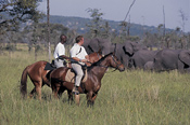 Horseback Riding with Elephants