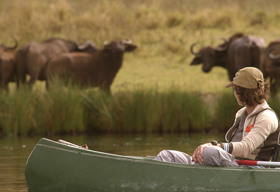 Buffalo sighting from canoe