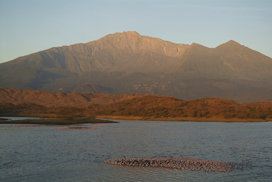 Mount Meru and flamingos