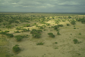 Amboseli to the north of Hatari