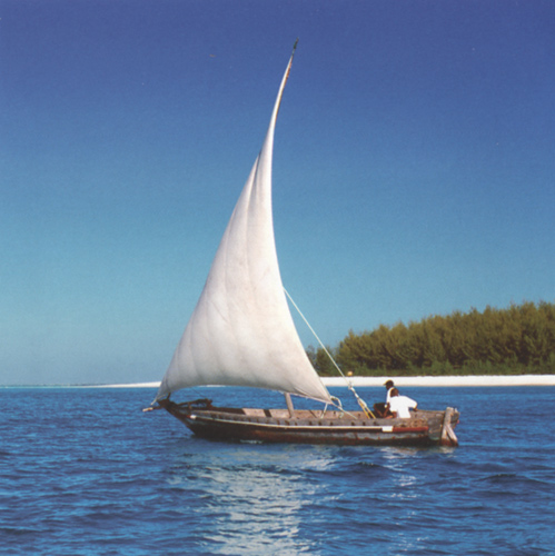 Dhow sailing