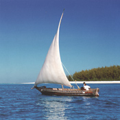 Dhow sailing