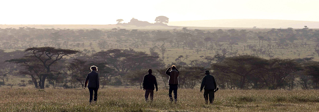 Walking Safari at Nduara Loliondo