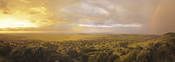 Lodge view of Serengeti plains