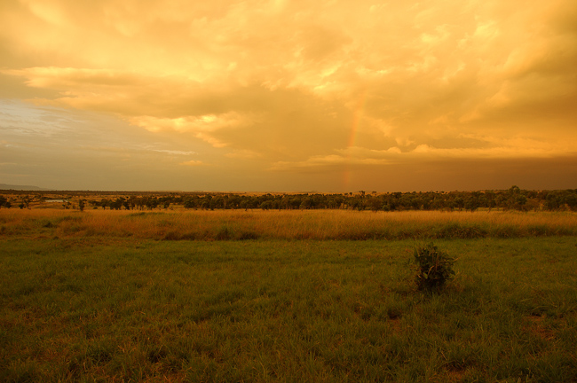 Rainbow over the Serengeti