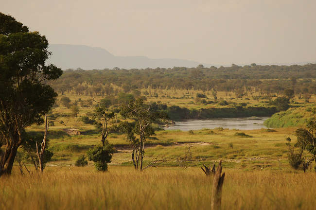 View of the Serengeti