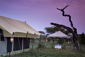 Tent and dining