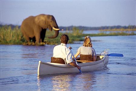 Canoeing on the river is a great way to get close to elephants