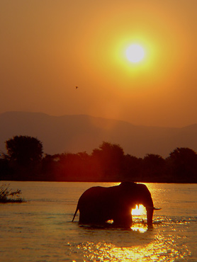 Sunsets on the Zambezi are always picturesque