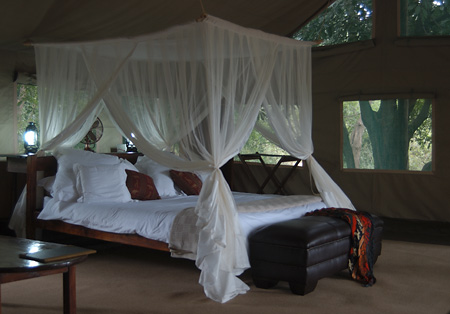 Superior Tent bed 
