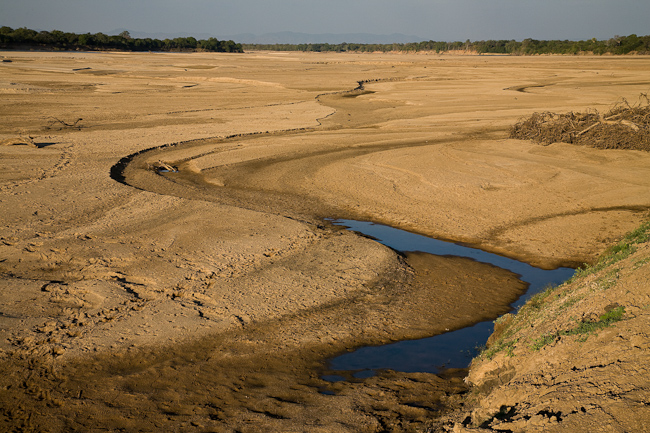 Luangwa river bed
