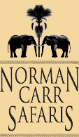 Norman Carr Safaris operate Kapani Camp and several bush camps in the Luangwa Valley, Zambia
