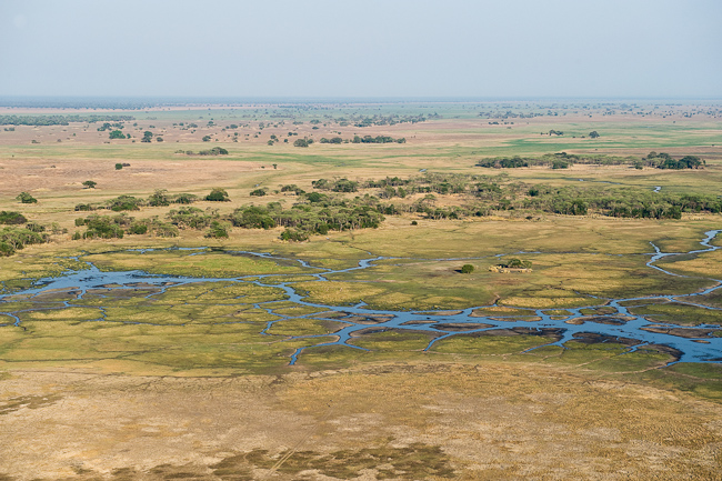 Aerial view over the Busanga
