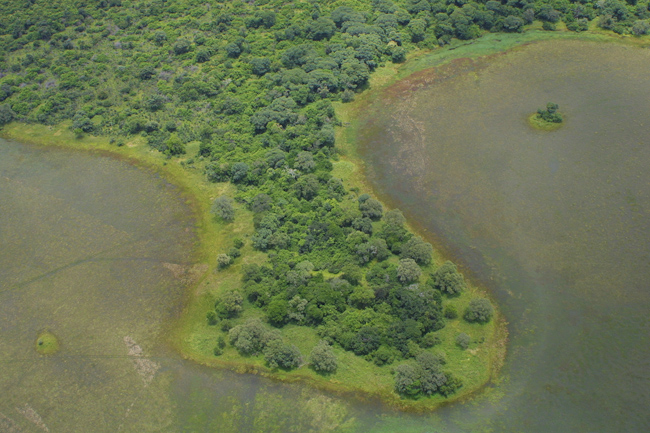 Aerial view of Kapinga site in the wet season