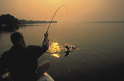 Kulefu Camp offers great fishing on the Zambezi river