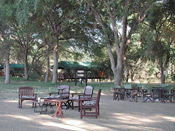 View of Kulefu Camp under shady trees, Lower Zambezi