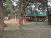 The guest tents at Kulefu Camp are on raised decks