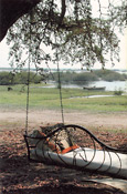 Tree swing and view from camp, Lechwe Plains, Zambia