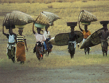 Local Kafue women carrying supplies, Lochinvar N.P.