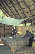 Mwaleshi's guest chalets are built from thatched reed