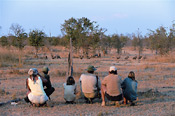 Guests at Mwaleshi encounter lions on a recent kill