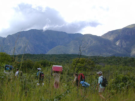 The Mafinga Mountains on the "Source of the Luangwa" safari