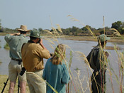 Photographing hippos in the Luangwa River, Zambia
