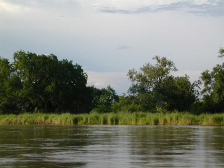 View of the Luangwa river near Mwaleshi Camp, Zambia