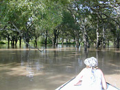 The Luangwa river in full flood provides for good boating