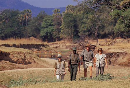 Walking Safaris are the specialty in the Luangwa Valley, Zambia