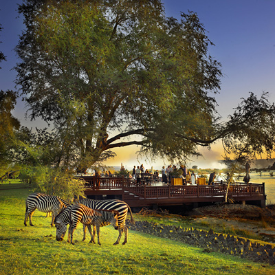The Sundeck and Zebras grazing