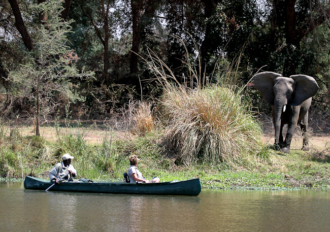 Canoeing with Elephant