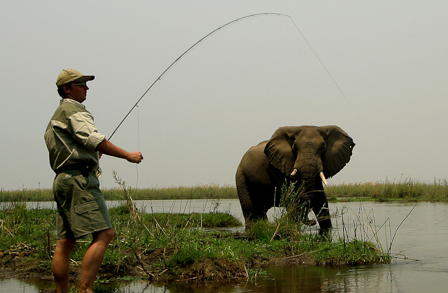Fishing with Elephnats