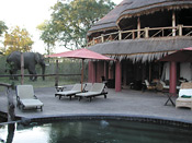 Sussi & Chuma - main lodge with a visiting elephant
