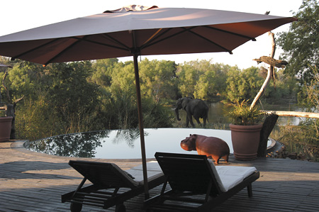 Sussi & Chuma's relaxing pool deck and Zambezi River