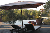 Sussi & Chuma's relaxing pool deck and Zambezi River