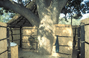 Guest chalet bathroom, Tafika Camp, South Luangwa, Zambia