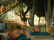 Tafika Camp guest lounge, South Luangwa, Zambia