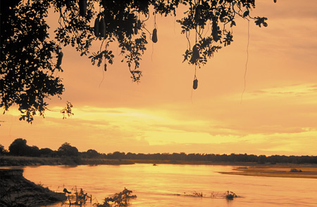 The sunsets over the Luangwa river are memorable