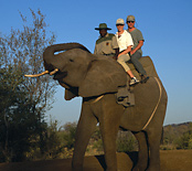 Elephant Back Safari in Zambia